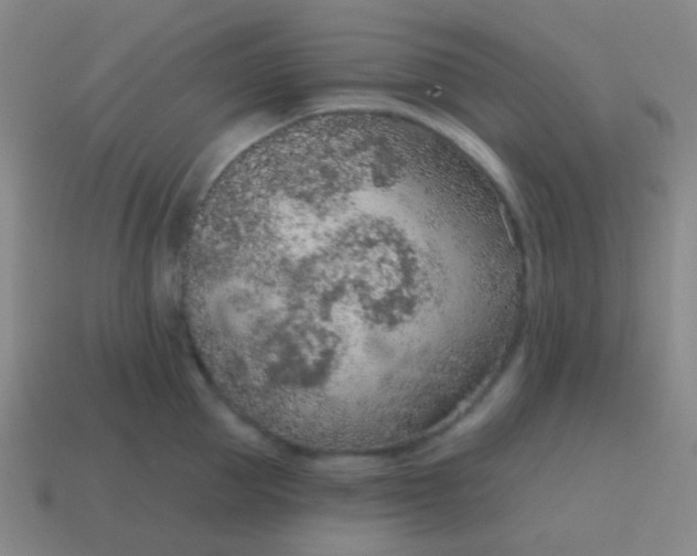 X0000115070953200911101300