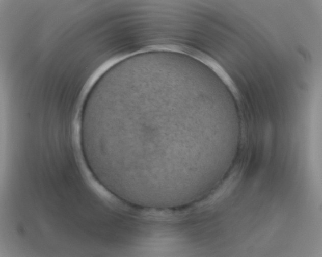 X0000115070955200911101300