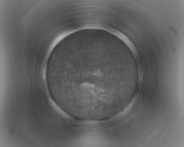 X0000115070958200911101300