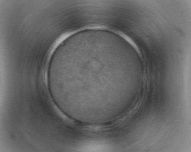 X0000115070959200911101300