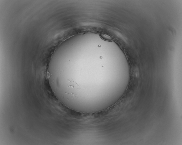 X0000115070965200911101259