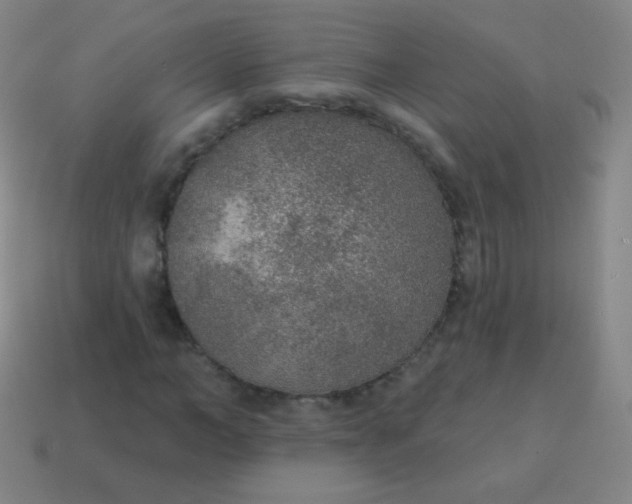 X0000115070966200911101259