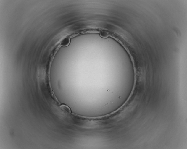 X0000115070969200911101259