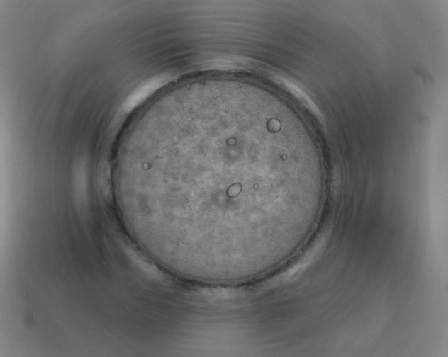 X0000115070970200911101259