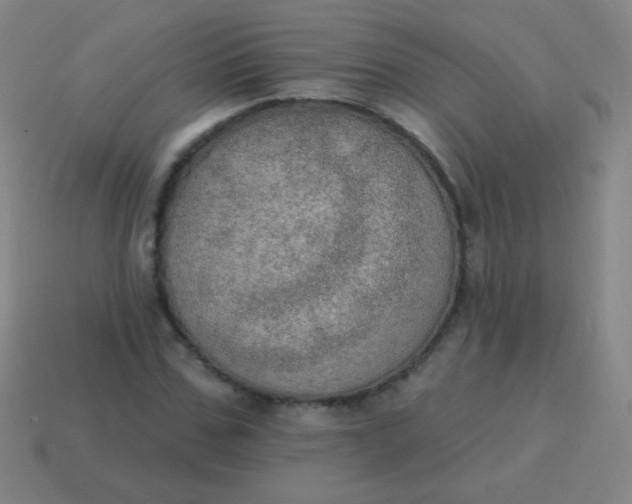 X0000115070971200911101259