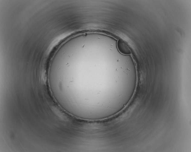 X0000115070973200911101259