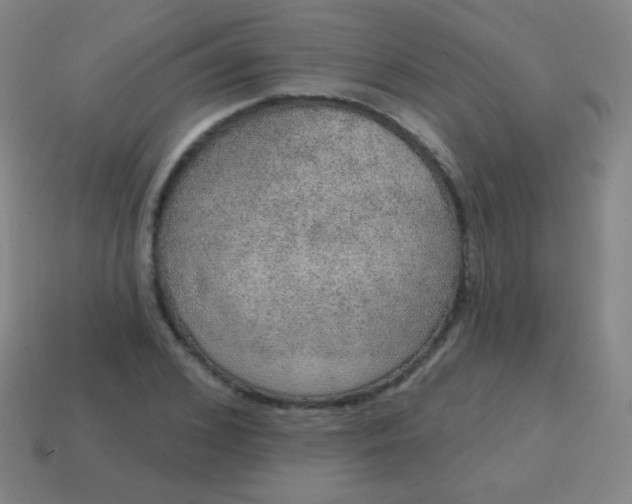 X0000115070976200911101259