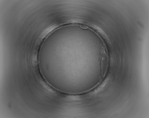 X0000115070977200911101259