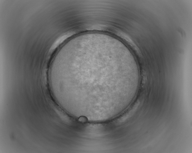 X0000115070978200911101259