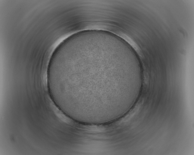 X0000115070980200911101259