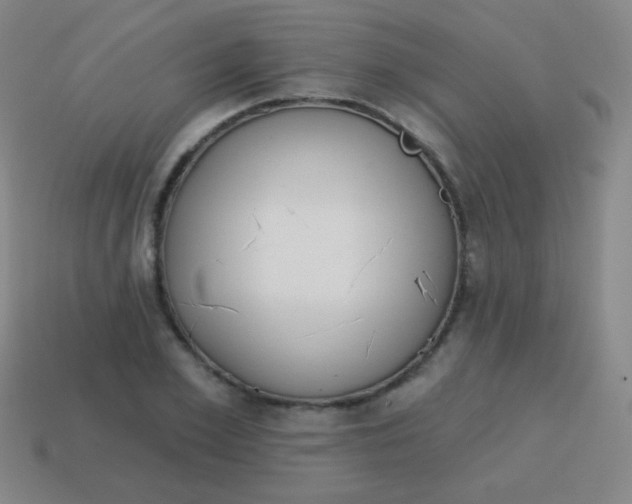 X0000115070981200911101259