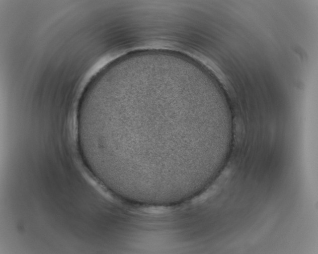 X0000115070982200911101259