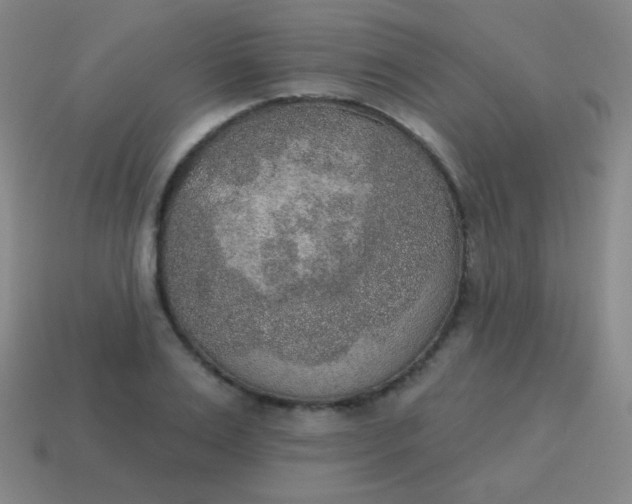 X0000115070983200911101259