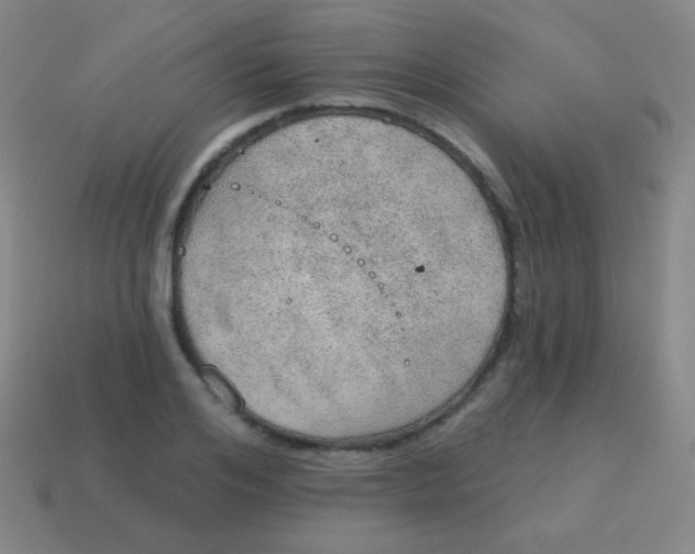 X0000115070984200911101259