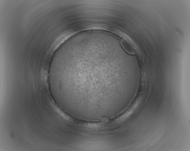 X0000115070985200911101259