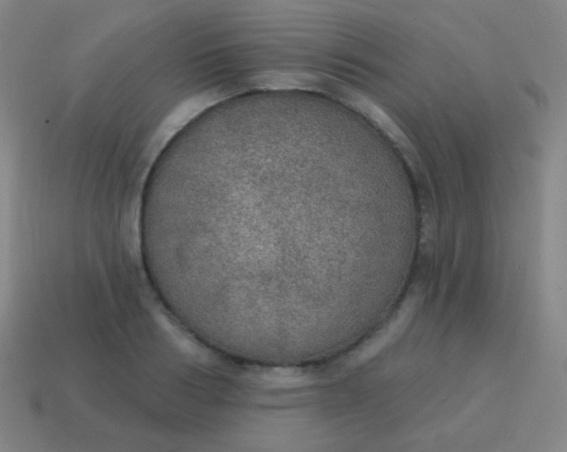 X0000115070986200911101259