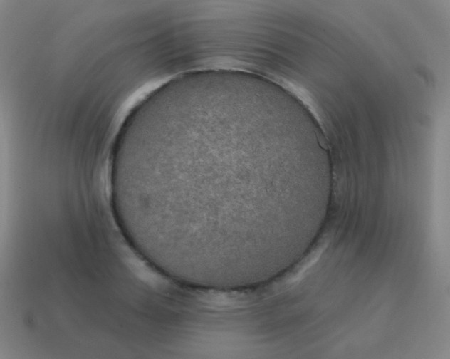 X0000115070987200911101259