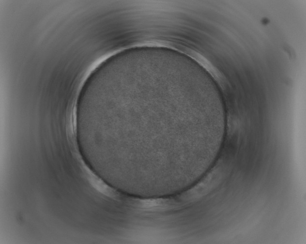 X0000115070988200911101259