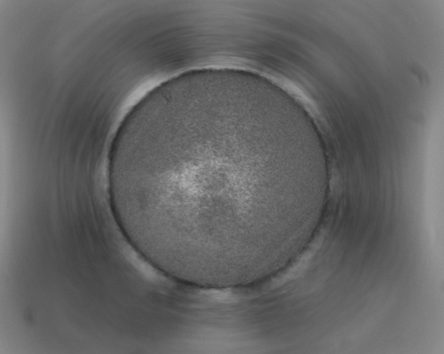 X0000115070990200911101259