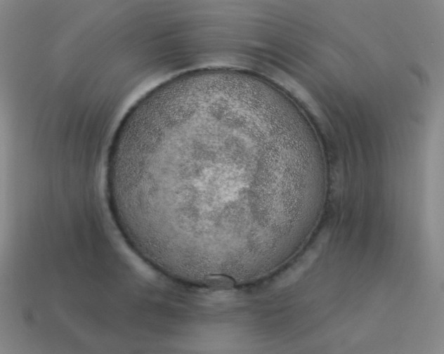 X0000115070991200911101259