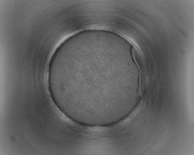 X0000115070992200911101259