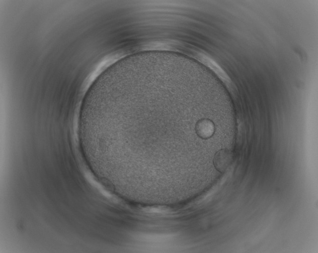 X0000115070994200911101259