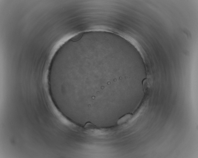 X0000115070995200911101259