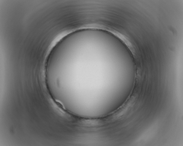 X0000115070998200911101259