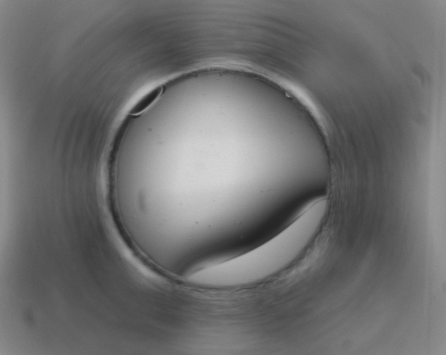 X0000115070999200911101259
