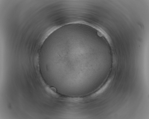 X0000115071001200911101259