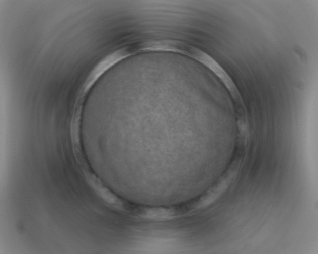 X0000115071002200911101259