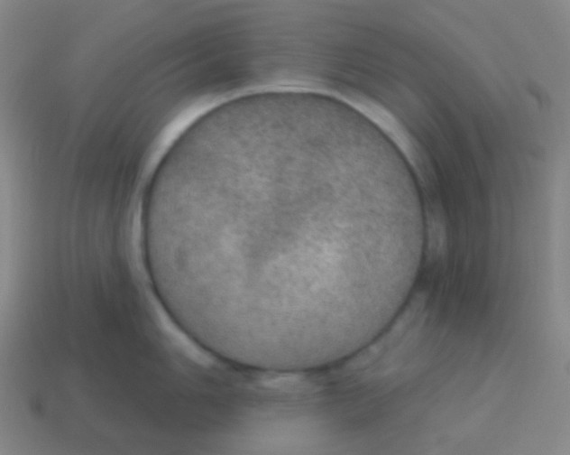 X0000115071006200911101259