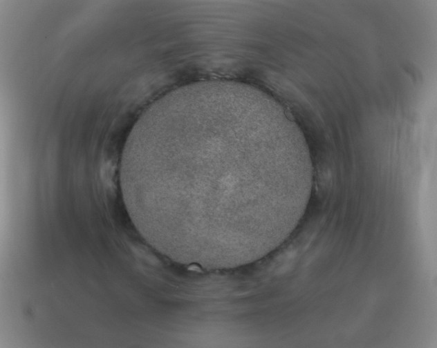 X0000115071010200911101258