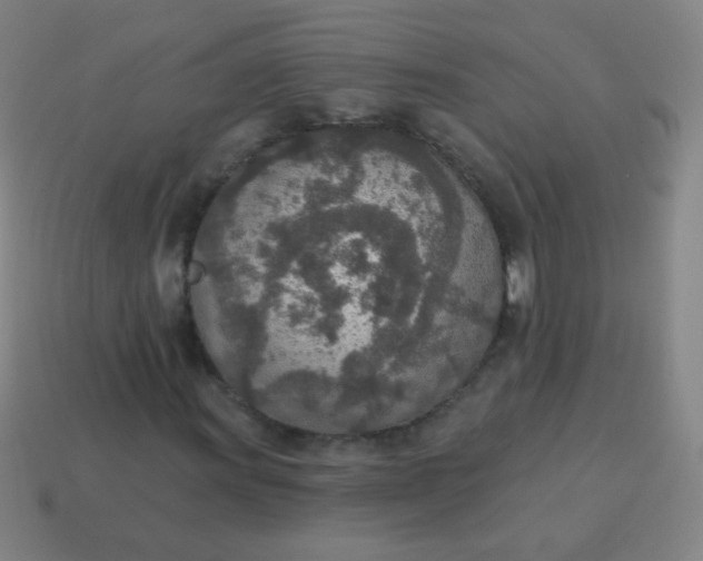 X0000115071011200911101258