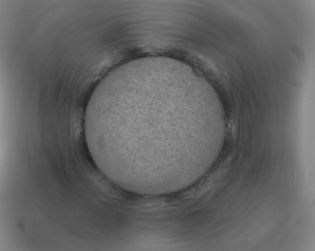 X0000115071012200911101258