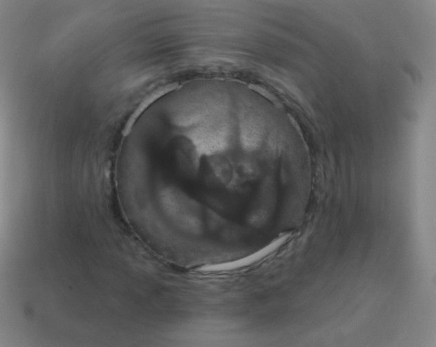 X0000115071013200911101258