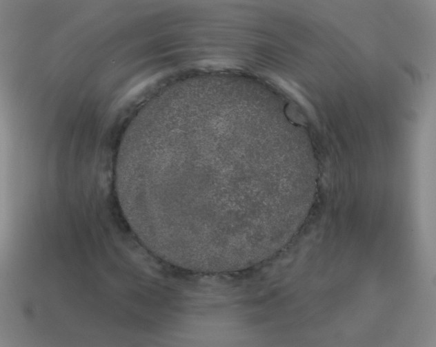X0000115071015200911101258