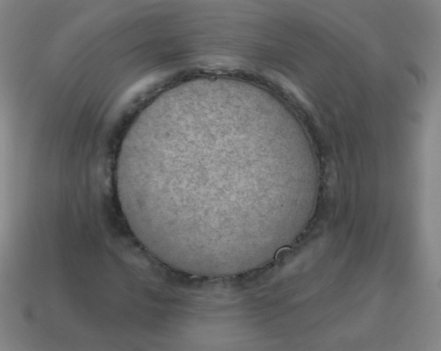 X0000115071016200911101258