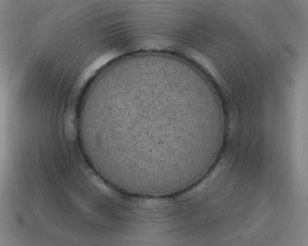 X0000115071018200911101258