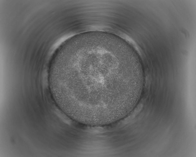 X0000115071019200911101258