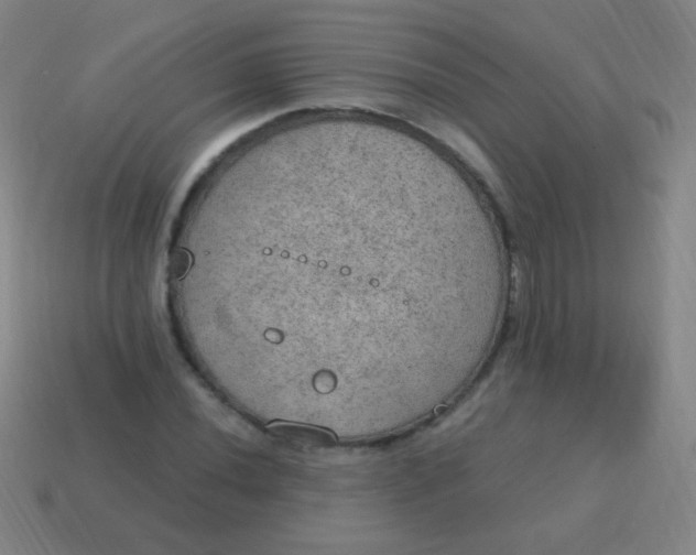 X0000115071020200911101258