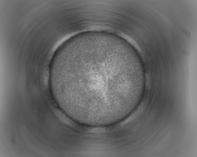 X0000115071021200911101258