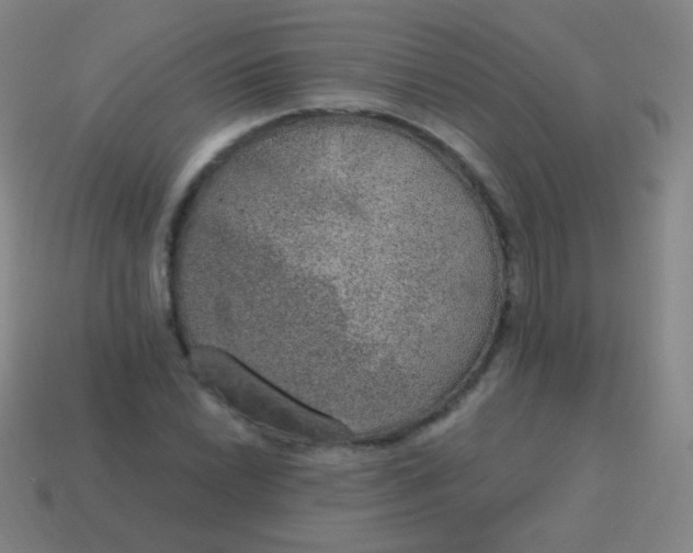 X0000115071022200911101258