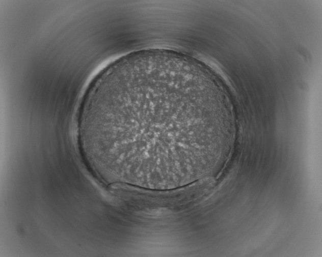 X0000115071024200911101258