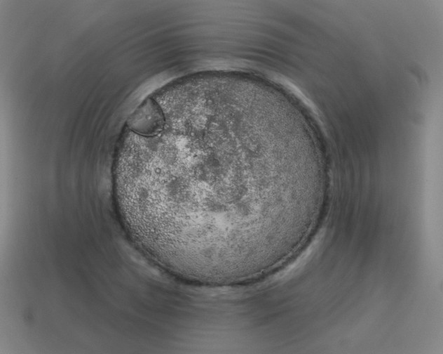 X0000115071025200911101258