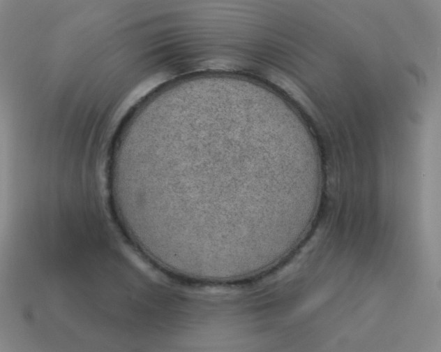X0000115071026200911101258