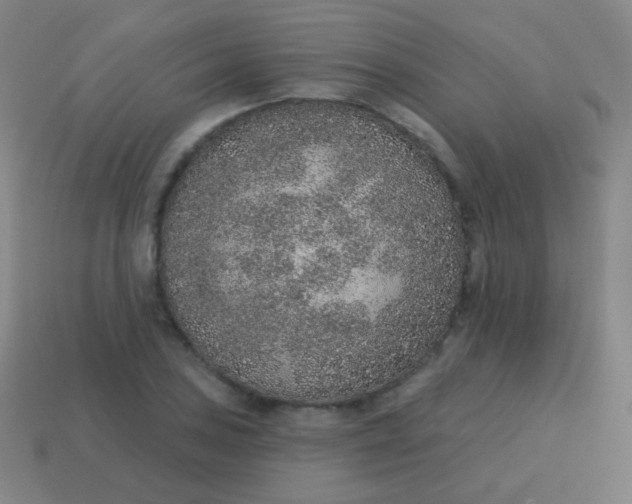 X0000115071027200911101258