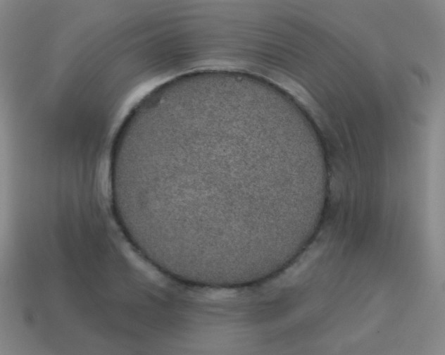 X0000115071030200911101258