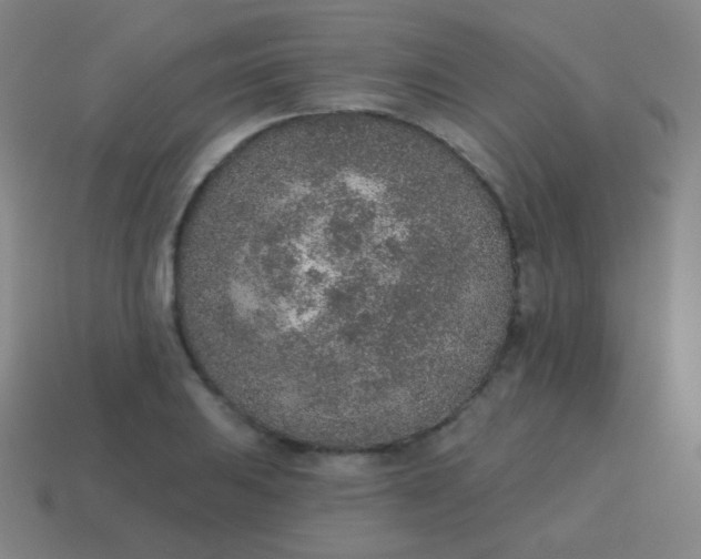 X0000115071031200911101258