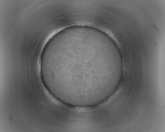 X0000115071032200911101258